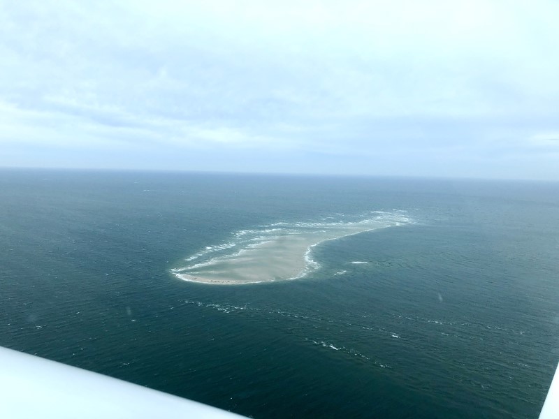 Wattenmeer Insel mit gut sichtbaren Robbenkolonien