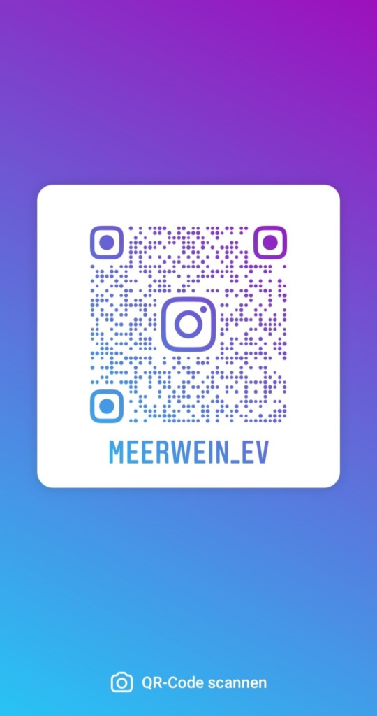 QR-Code unserer Instragram-Seite @meerwein_ev